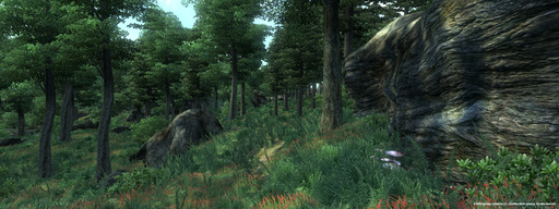 Elder Scrolls IV: Oblivion, The - Официальные скриншоты Oblivion