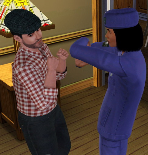 Sims 3, The - Отыгрыш в The Sims — вносим разнообразие в игру