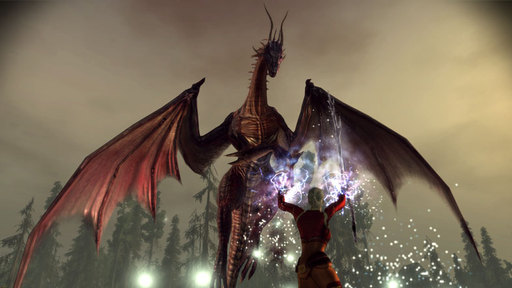 Dragon Age: Начало - Персонажи - Винн