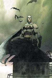 Batman: Arkham Asylum - Становление героя