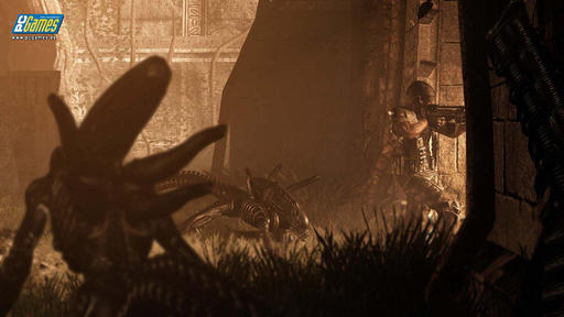 Aliens vs. Predator (2010) - Новые скриншоты