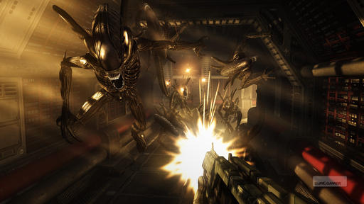 Aliens vs. Predator (2010) - Новые скриншоты