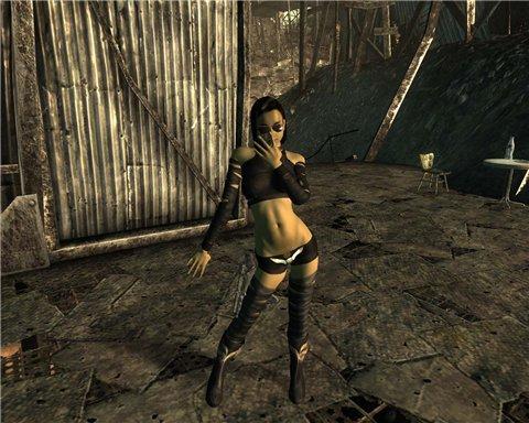 Fallout 3 - Fallout 3 - моды на компаньонов. Эми Вонг против Сидни.