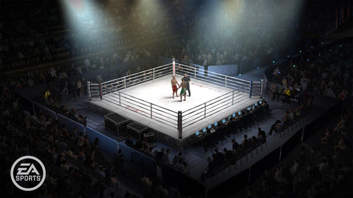 Обо всем - EA Sports MMA новый фатинг для приставок 
