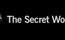 Secret_world