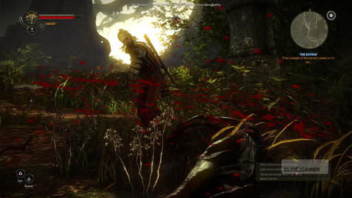Ведьмак 2: Убийцы королей - Новые скриншоты от Eurogamer.cz (полная версия, высокое разрешение)