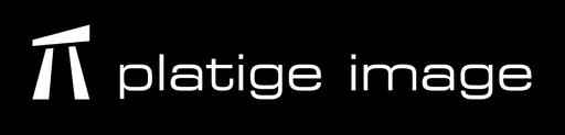 Ведьмак 2: Убийцы королей - CD Projekt RED и Platigue Image объявили о новом совместном проекте
