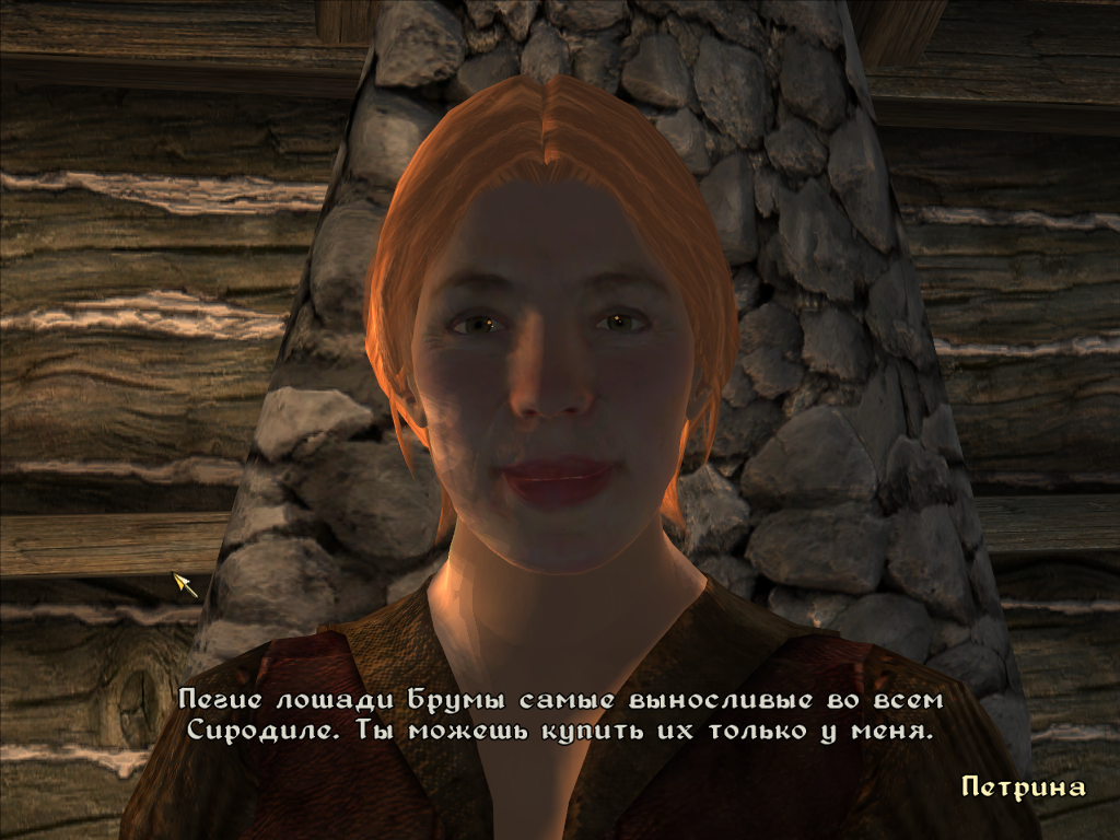 Брума — Elder Scrolls IV: Oblivion, The — Игры — Gamer.ru: социальная сеть  для геймеров