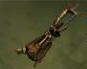 Ведьмак 2: Убийцы королей - Полный перечень редкого оружия, брони и компонентов, встречаемых в игре (обновлено).