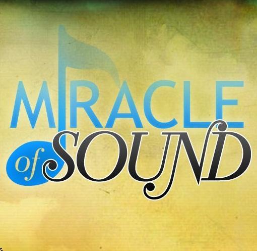 Обо всем - Miracle Of Sound