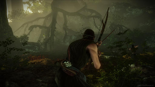 Ведьмак 2: Убийцы королей - Новые скриншоты Xbox 360