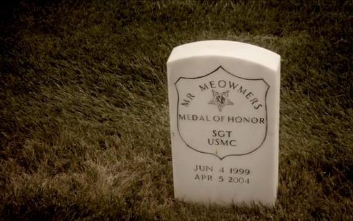 Medal of Honor (2010) - Medal of Honor Cat 