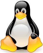 Цифровая дистрибуция - Закрытый бета-тест Steam для Linux