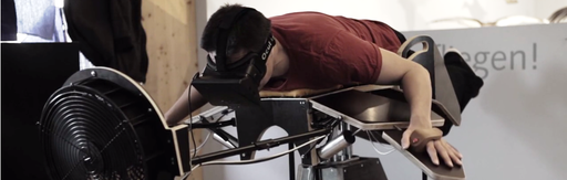 Обо всем - Birdly и Oculus Rift дадут возможность полетать