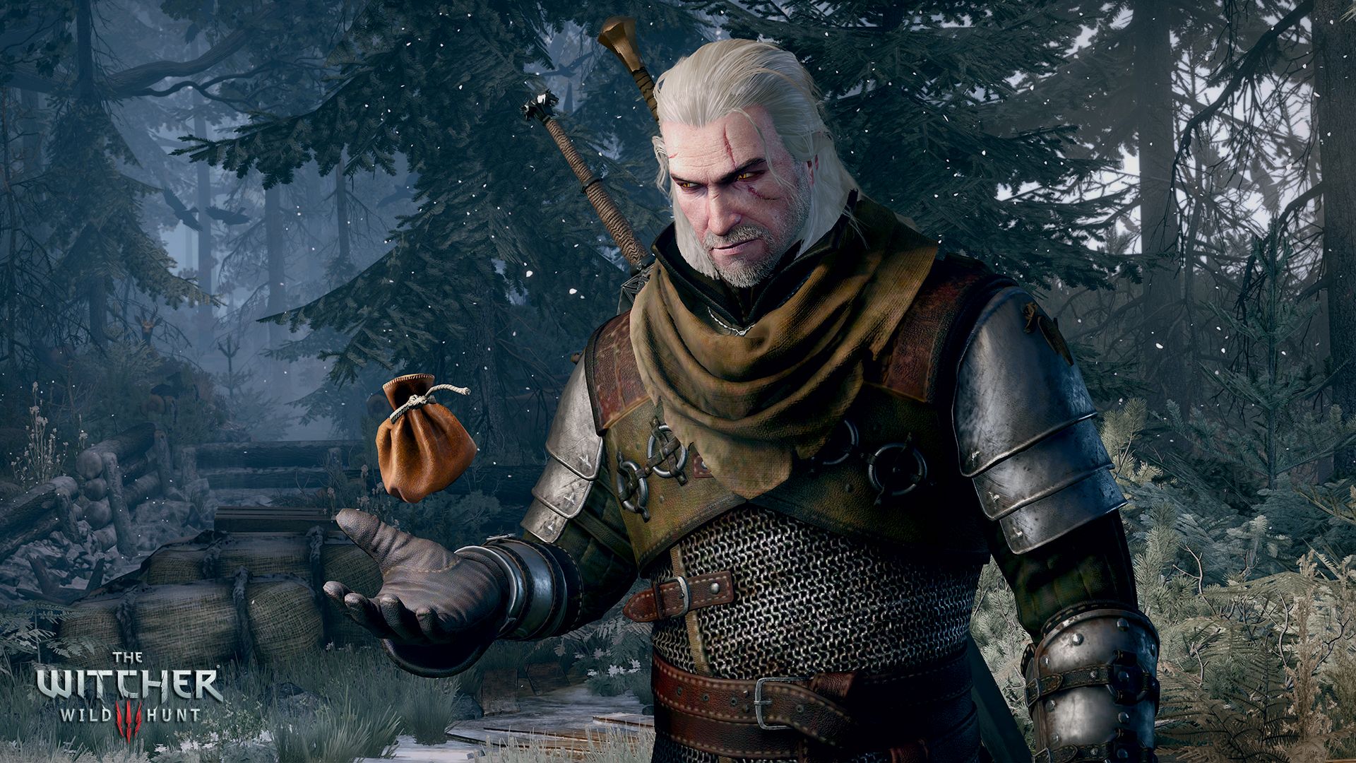 The Witcher 3: Wild Hunt – поздравляем с рекордом! — Ведьмак 3: Дикая Охота  — Игры — Gamer.ru: социальная сеть для геймеров