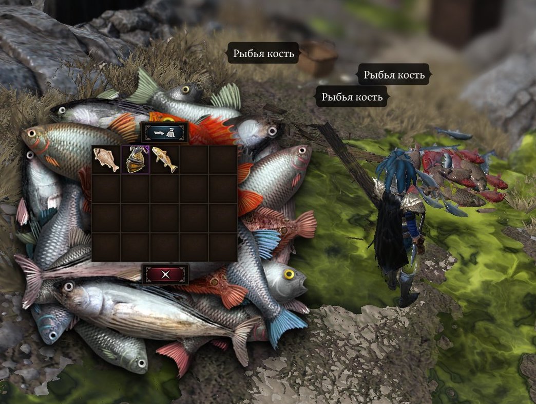 Divinity: Original Sin II»: 