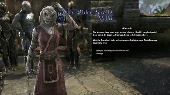 Обзор игры "The Elder Scrolls Online (Beta)"
