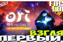 Ori and the blind forest, Definitive Edition - Первый взгляд 