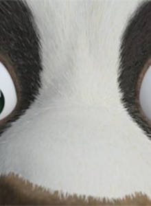 Panda-eyes